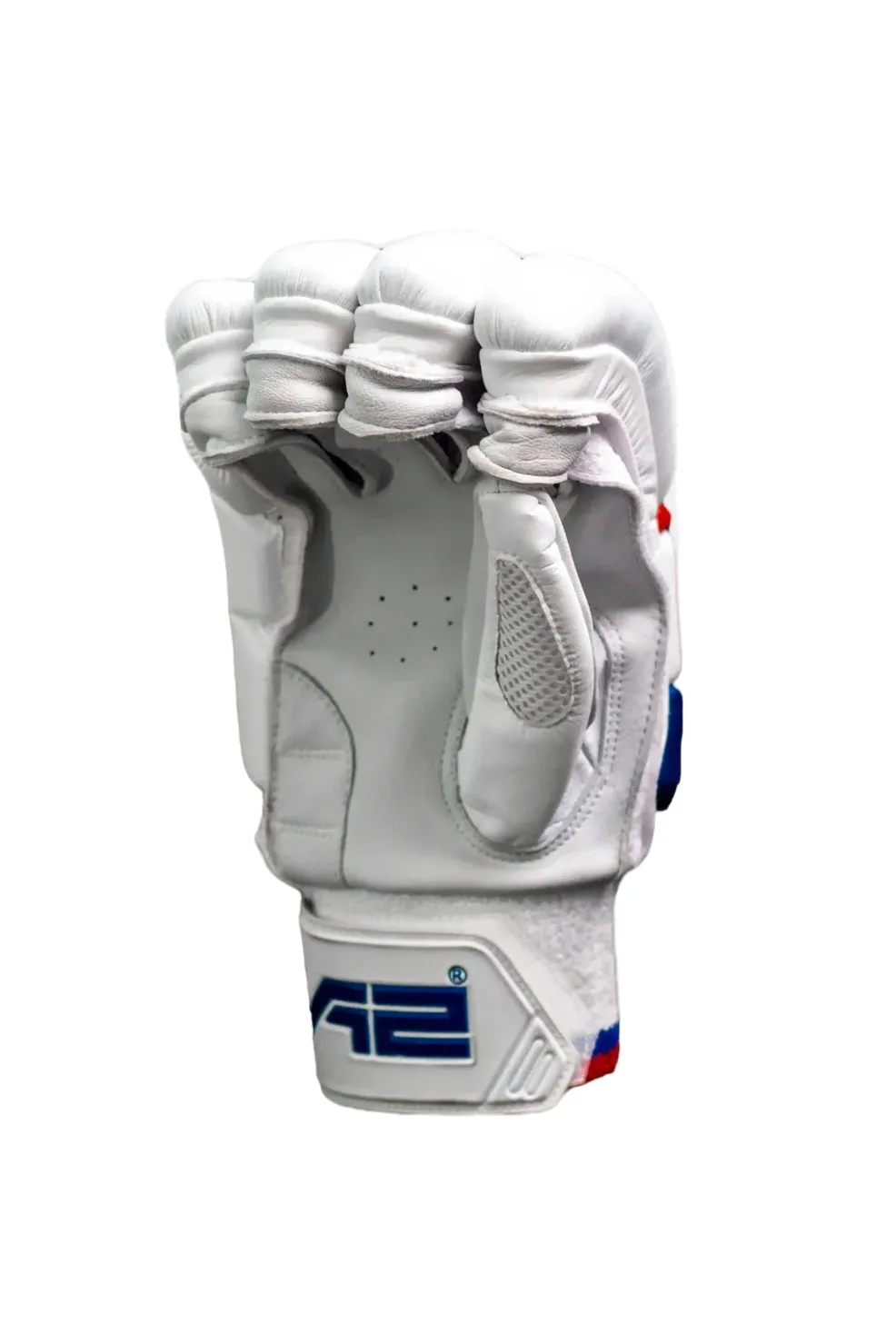 Cricket Batting Gloves - Verve