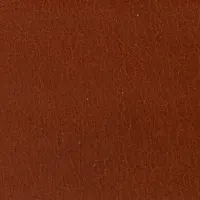 Frame Belt In Tan Glossed Leather