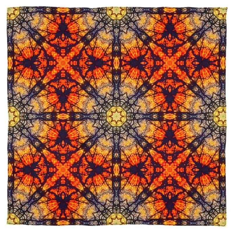 Scarf Wrap or Shawl