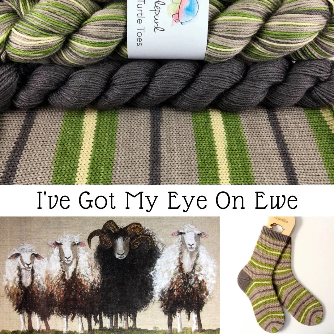 Turtlepurl Yarns - Striped Turtle Toes